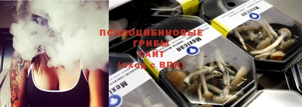 прущий лед Горняк