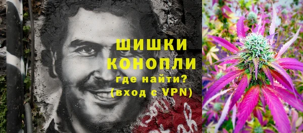 дурь Бикин